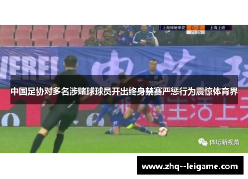 中国足协对多名涉赌球球员开出终身禁赛严惩行为震惊体育界